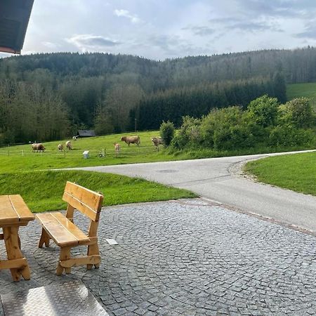 Ferienwohnung ,Hoizmann' Pinsdorf 外观 照片